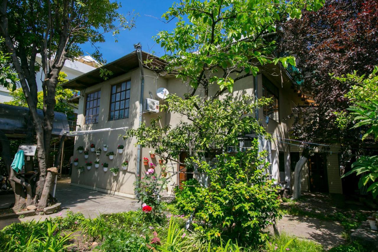 Guest House Lavr Гагра Екстер'єр фото