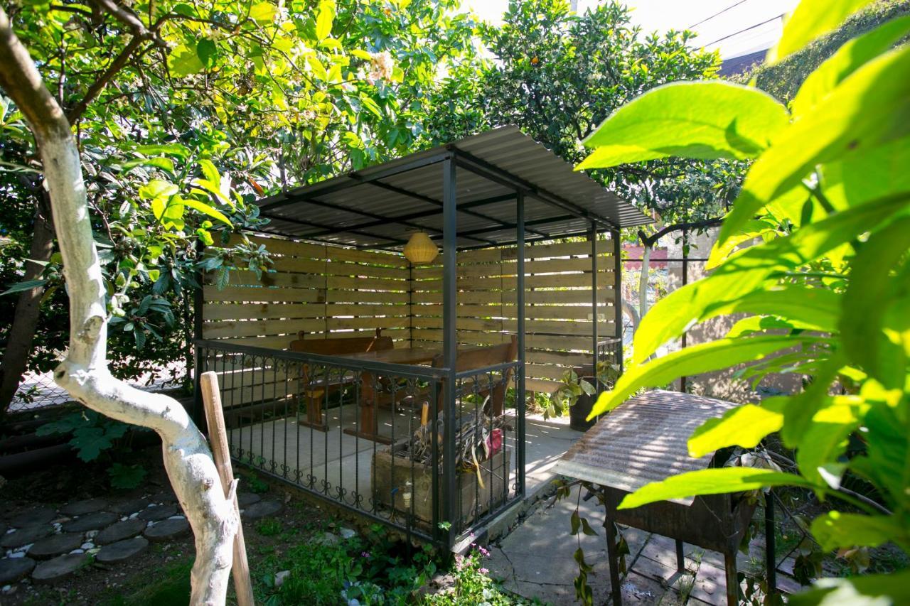 Guest House Lavr Гагра Екстер'єр фото