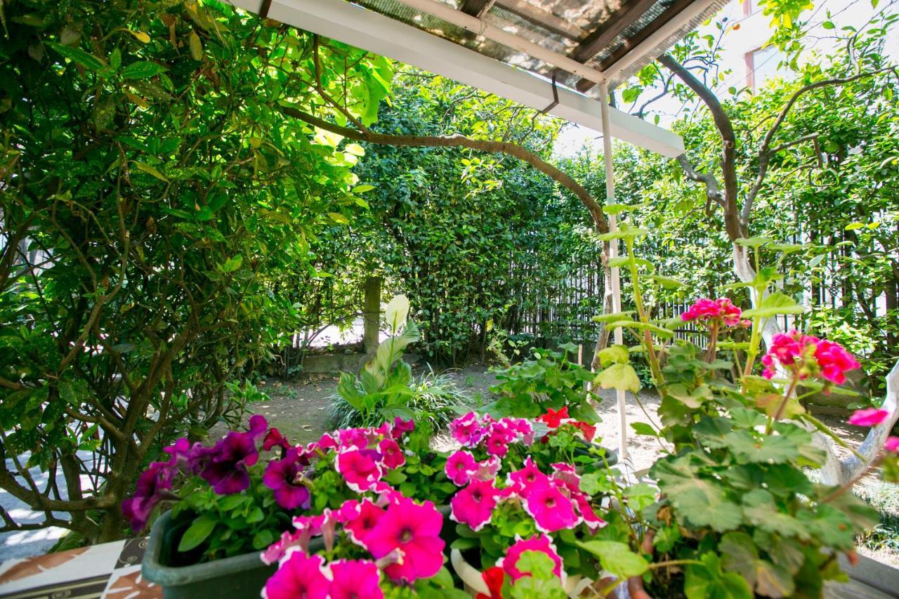 Guest House Lavr Гагра Екстер'єр фото