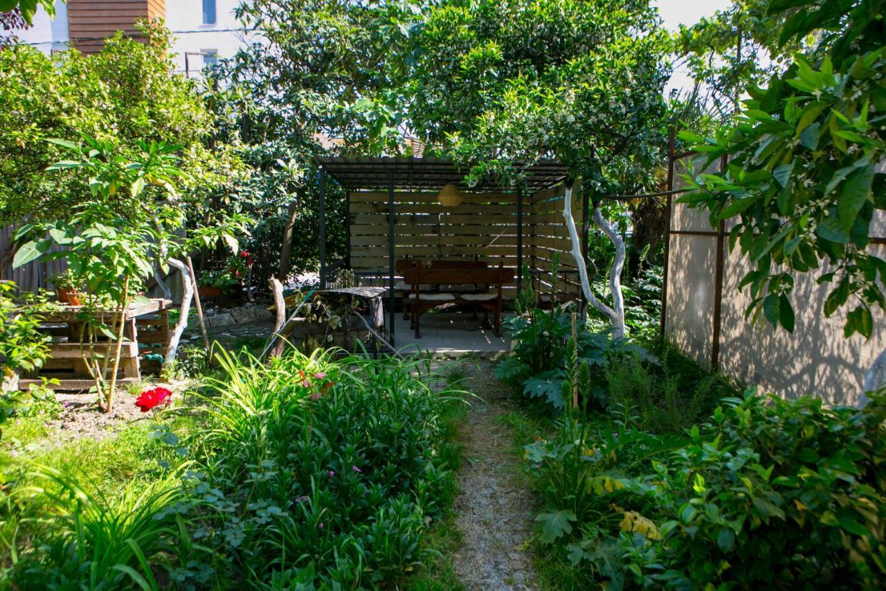 Guest House Lavr Гагра Екстер'єр фото